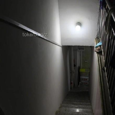 遭家暴后坠亡9岁男孩事件深度分析：家庭暴力与儿童心理健康